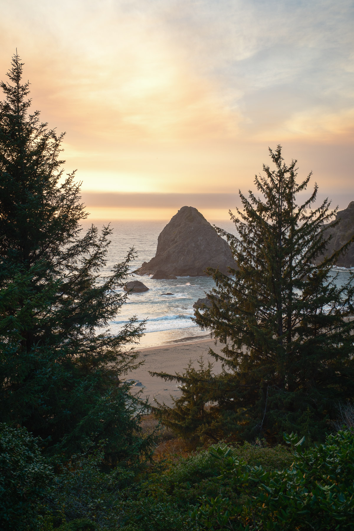 Pacific Northwest Road Trip photo titled Pacific Coast 23